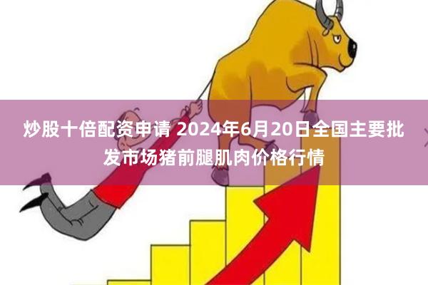 炒股十倍配资申请 2024年6月20日全国主要批发市场猪前腿肌肉价格行情