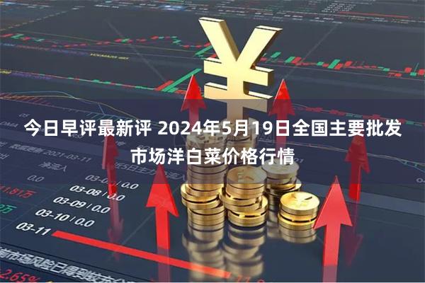 今日早评最新评 2024年5月19日全国主要批发市场洋白菜价格行情