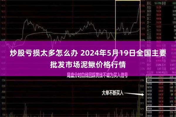 炒股亏损太多怎么办 2024年5月19日全国主要批发市场泥鳅价格行情