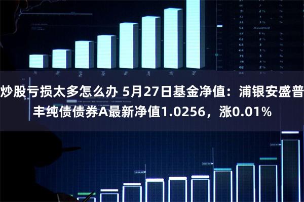 炒股亏损太多怎么办 5月27日基金净值：浦银安盛普丰纯债债券A最新净值1.0256，涨0.01%