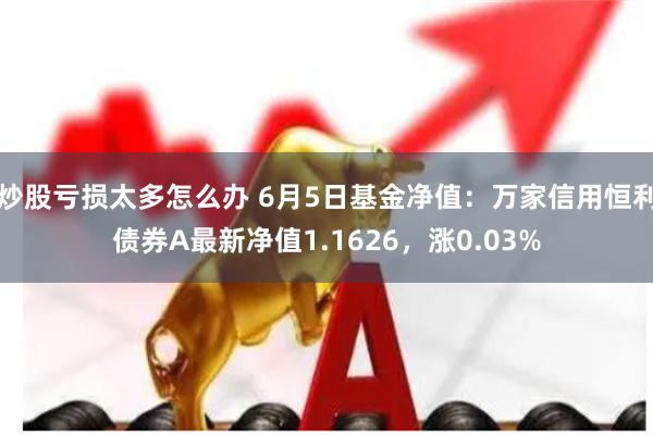 炒股亏损太多怎么办 6月5日基金净值：万家信用恒利债券A最新净值1.1626，涨0.03%