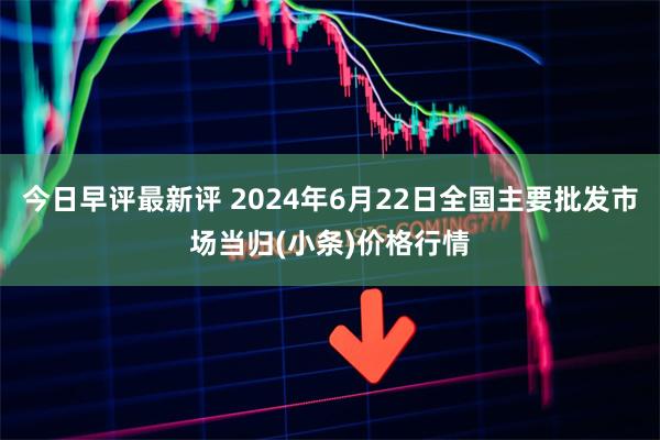 今日早评最新评 2024年6月22日全国主要批发市场当归(小条)价格行情