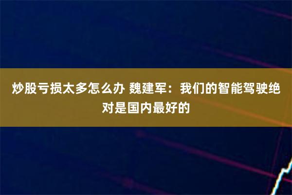 炒股亏损太多怎么办 魏建军：我们的智能驾驶绝对是国内最好的