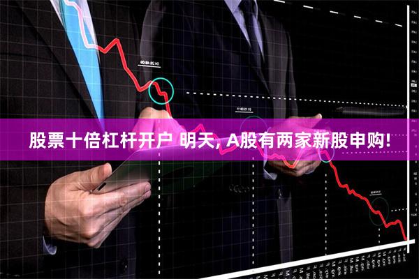 股票十倍杠杆开户 明天, A股有两家新股申购!