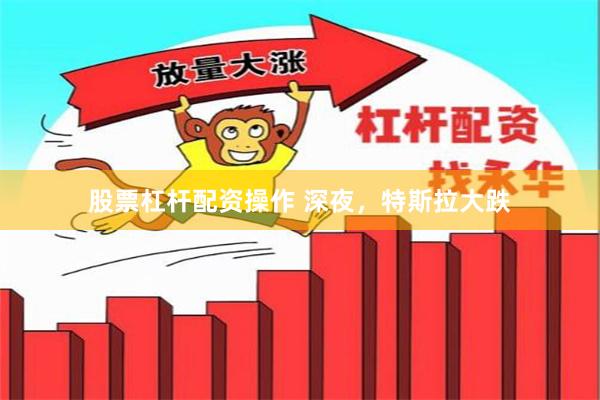 股票杠杆配资操作 深夜，特斯拉大跌