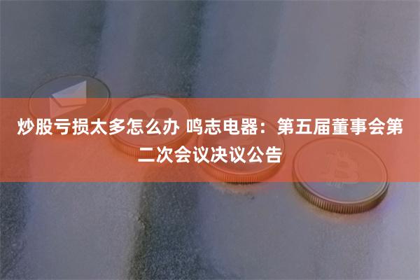 炒股亏损太多怎么办 鸣志电器：第五届董事会第二次会议决议公告